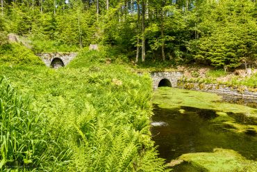 Fotowanderung Oberharzer Wasserregal - Huttaler Widerwaage