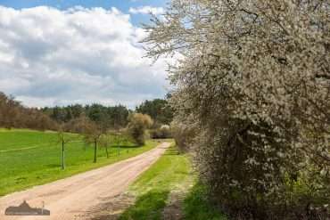Fotowanderung auf dem Lutherweg durch die Badraer Schweiz