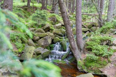 Fotowanderung auf den Brocken