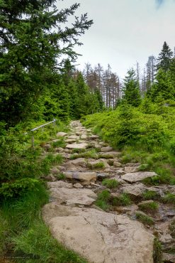 Fotowanderung auf den Brocken