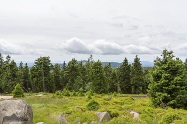 Fotowanderung auf den Brocken