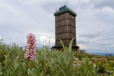 Fotowanderung auf den Brocken