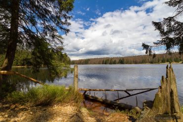 Fotowanderung im Nationalpark Harz - Oderteich