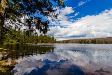 Fotowanderung im Nationalpark Harz - Oderteich
