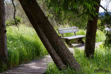 Fotowanderung im Nationalpark Harz - Oderteich