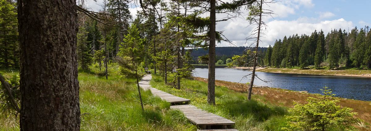 Fotowanderung im Nationalpark Harz - Oderteich