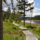 Fotowanderung im Nationalpark Harz - Oderteich