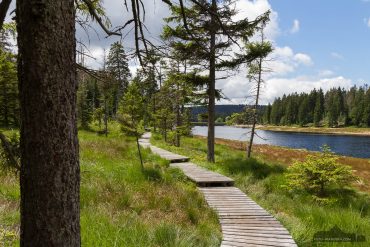 Fotowanderung im Nationalpark Harz - Oderteich