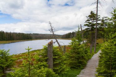 Fotowanderung im Nationalpark Harz - Oderteich
