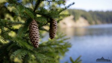 Fotowanderung um die Rappbode-Vorsperre