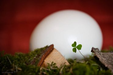 Frohe Ostern
