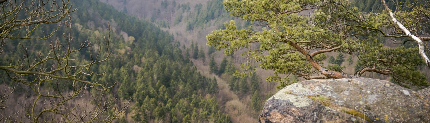 Junggesellenabschied mit Fotokurs im Harz © Björn Wrede