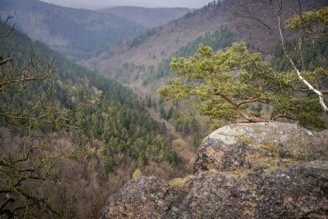Junggesellenabschied mit Fotokurs im Harz © Björn Wrede