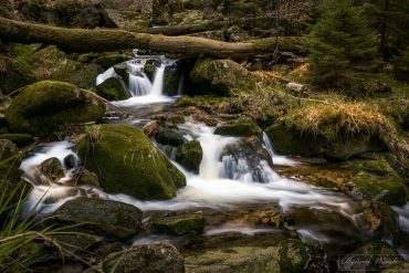 Junggesellenabschied mit Fotokurs im Harz © Björn Wrede