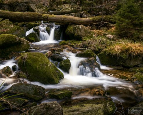 Junggesellenabschied mit Fotokurs im Harz © Björn Wrede