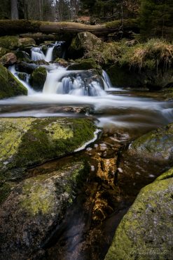 Junggesellenabschied mit Fotokurs im Harz © Björn Wrede