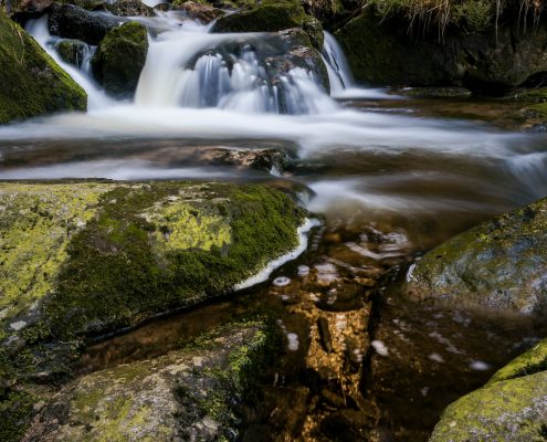 Junggesellenabschied mit Fotokurs im Harz © Björn Wrede