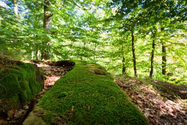 Fotokurs Landschaftsfotografie im Naturpark Südharz mit Foto-Wandern.com © Andreas Levi