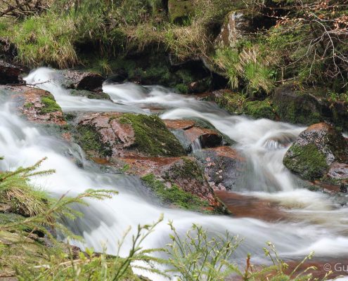 Fotokurs Langzeitbelichtung im Harz © Guido Gernoth