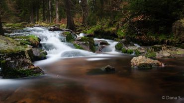 Fotokurs Langzeitbelichtung im Nationalpark Harz mit Foto-Wandern.com © Dana Struve