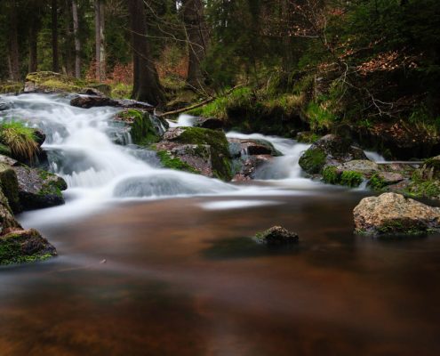 Fotokurs Langzeitbelichtung im Nationalpark Harz mit Foto-Wandern.com © Dana Struve Fotokurs Langzeitbelichtung im Nationalpark Harz mit Foto-Wandern.com © Dana Struve