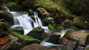 Fotokurs Langzeitbelichtung im Nationalpark Harz mit Foto-Wandern.com © Dana Struve