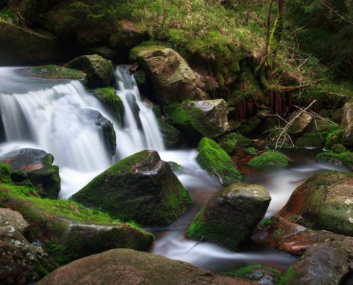 Fotokurs Langzeitbelichtung im Nationalpark Harz mit Foto-Wandern.com © Dana Struve Fotokurs Langzeitbelichtung im Nationalpark Harz mit Foto-Wandern.com © Dana Struve