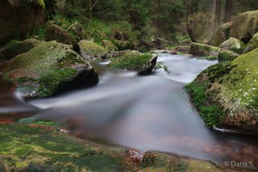Fotokurs Langzeitbelichtung im Nationalpark Harz mit Foto-Wandern.com © Dana Struve