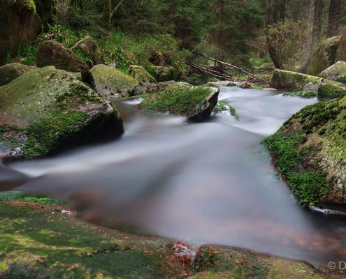 Fotokurs Langzeitbelichtung im Nationalpark Harz mit Foto-Wandern.com © Dana Struve Fotokurs Langzeitbelichtung im Nationalpark Harz mit Foto-Wandern.com © Dana Struve