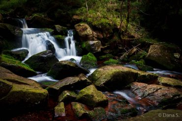 Fotokurs Langzeitbelichtung im Nationalpark Harz mit Foto-Wandern.com © Dana Struve