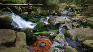 Fotokurs Langzeitbelichtung im Nationalpark Harz mit Foto-Wandern.com © Dana Struve
