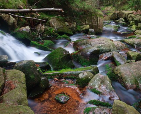 Fotokurs Langzeitbelichtung im Nationalpark Harz mit Foto-Wandern.com © Dana Struve Fotokurs Langzeitbelichtung im Nationalpark Harz mit Foto-Wandern.com © Dana Struve