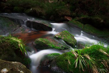 Fotokurs Langzeitbelichtung im Nationalpark Harz mit Foto-Wandern.com © Dana Struve