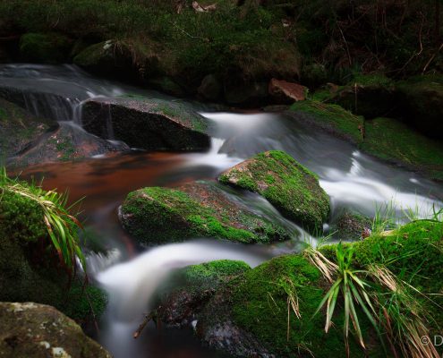 Fotokurs Langzeitbelichtung im Nationalpark Harz mit Foto-Wandern.com © Dana Struve