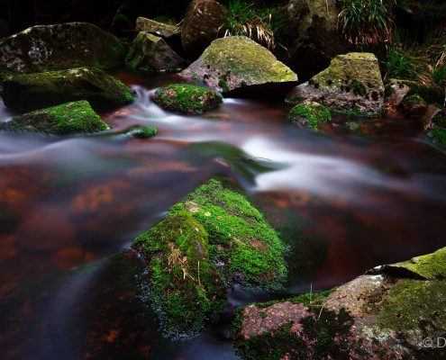 Fotokurs Langzeitbelichtung im Nationalpark Harz mit Foto-Wandern.com © Dana Struve Fotokurs Langzeitbelichtung im Nationalpark Harz mit Foto-Wandern.com © Dana Struve