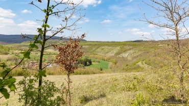 Fotowanderung ins Orchideenland am Lutherweg zum Wipperdurchbruch Günserode