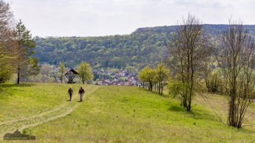 Fotowanderung ins Orchideenland am Lutherweg zum Wipperdurchbruch Günserode
