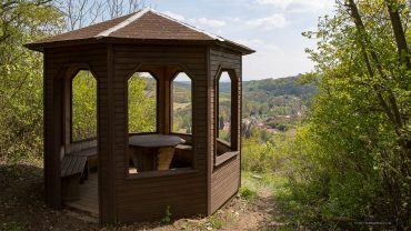 Fotowanderung ins Orchideenland am Lutherweg zum Wipperdurchbruch Günserode