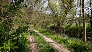 Fotowanderung ins Orchideenland am Lutherweg zum Wipperdurchbruch Günserode