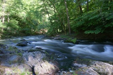 Fotowanderung durch das Bodetal © Dorothee Kämpf