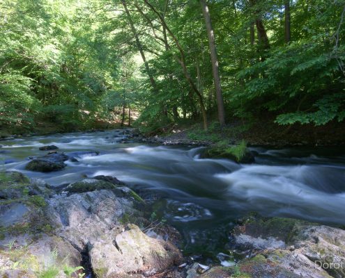 Fotowanderung durch das Bodetal © Dorothee Kämpf