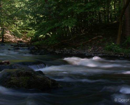 Fotowanderung durch das Bodetal © Dorothee Kämpf