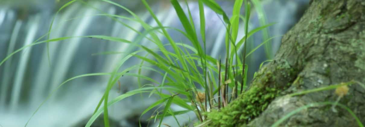 Fotowanderung durch das Bodetal © Dorothee Kämpf