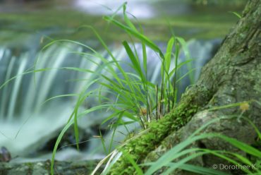 Fotowanderung durch das Bodetal © Dorothee Kämpf