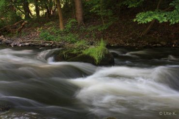 Fotowanderung durch das Bodetal © Ute Kämpf