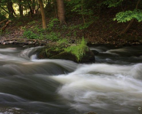 Fotowanderung durch das Bodetal © Ute Kämpf