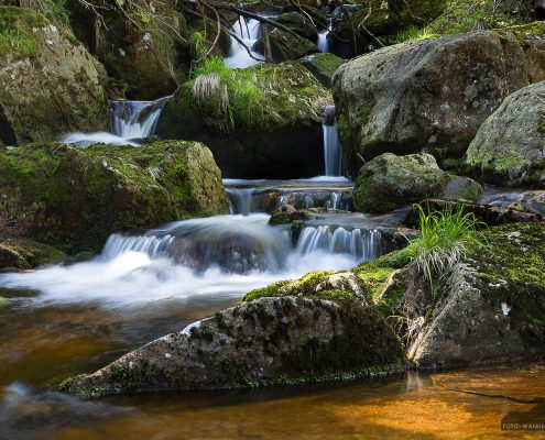 Holtemme, Steinerne Renne © Andreas Levi - Foto-Wandern.com