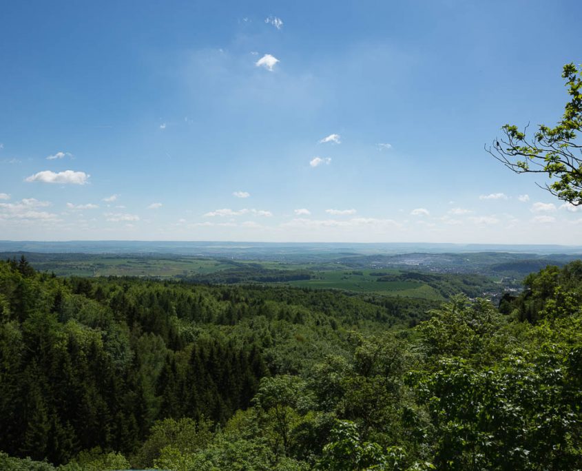 Landschaftsfotografie im Naturpark Südharz die Felsentour