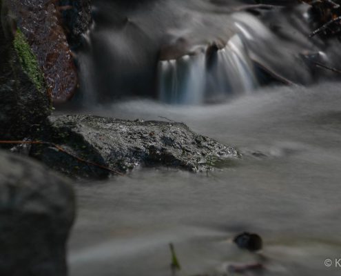 Fotokurs-Tage im Elbsandsteingebirge Juni 2017 © Katja S. Fotokurs-Tage im Elbsandsteingebirge Juni 2017 © Katja S.