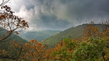 Fotokurs-Wanderwoche im Harz - Herbst 2017 - Blick ins herbstliche Ilsetal